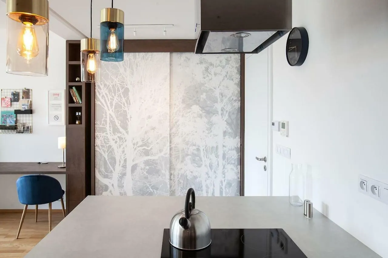 Cosy Design Apartment IV 布尔诺