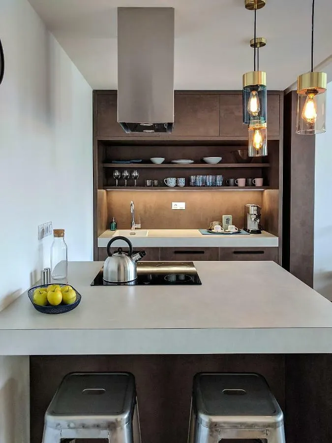 Cosy Design Apartment IV 布尔诺 捷克